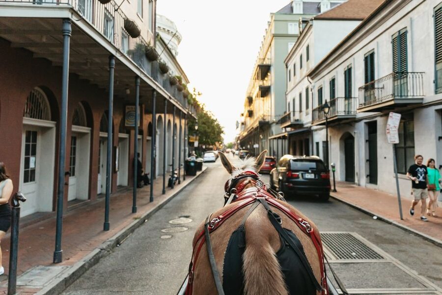 New Orleans: French Quarter Sightseeing Carriage Ride - Is $65 a fair price?