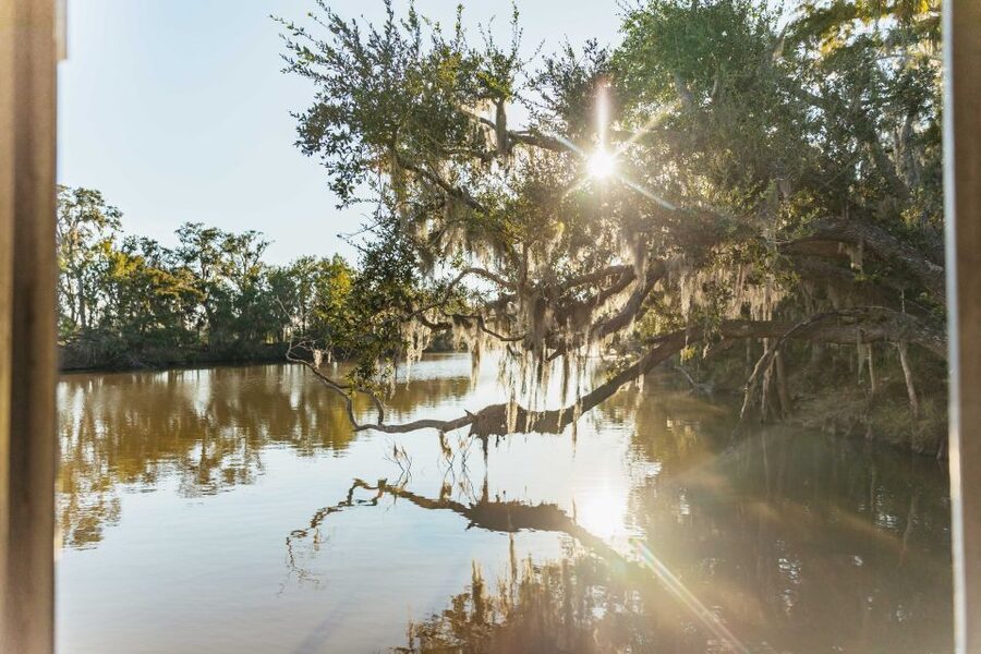 New Orleans: Guided Swamp Cruise by Tour Boat - From New Orleans streets to Barataria wetlands