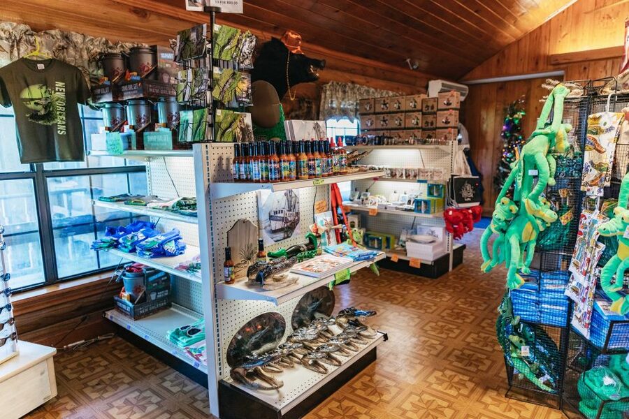 New Orleans: Guided Swamp Cruise by Tour Boat - Alligators, raccoons, birds, and the limits of nature