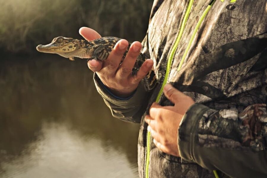 New Orleans: High Speed 16 Passenger Airboat Ride - Is $65 a good value?