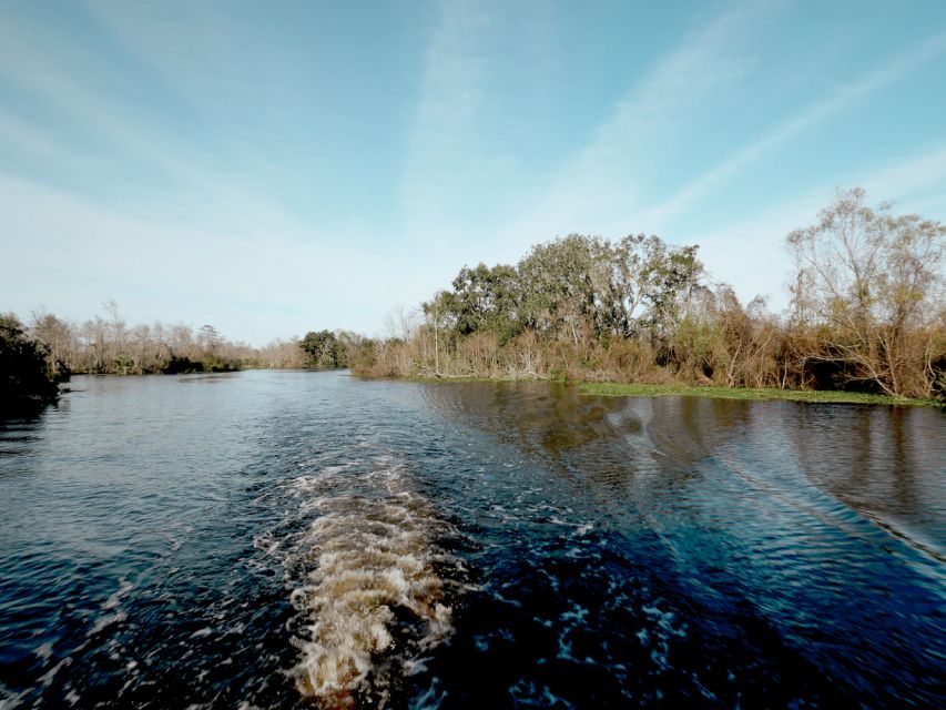 New Orleans: High Speed 16 Passenger Airboat Ride - Should you book the New Orleans airboat ride?