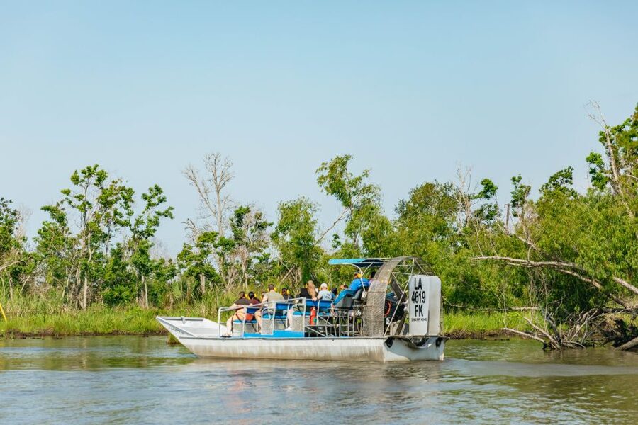 New Orleans: High Speed 9 Passenger Airboat Tour - Alligators, Birds, and Other Swamp Residents