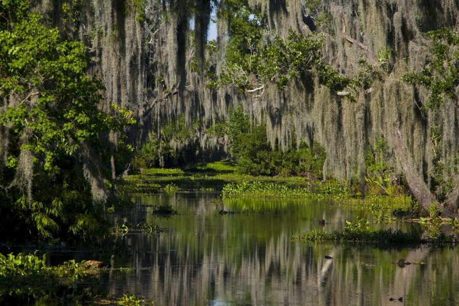 New Orleans: High Speed 9 Passenger Airboat Tour - Is $89 a Fair Price?