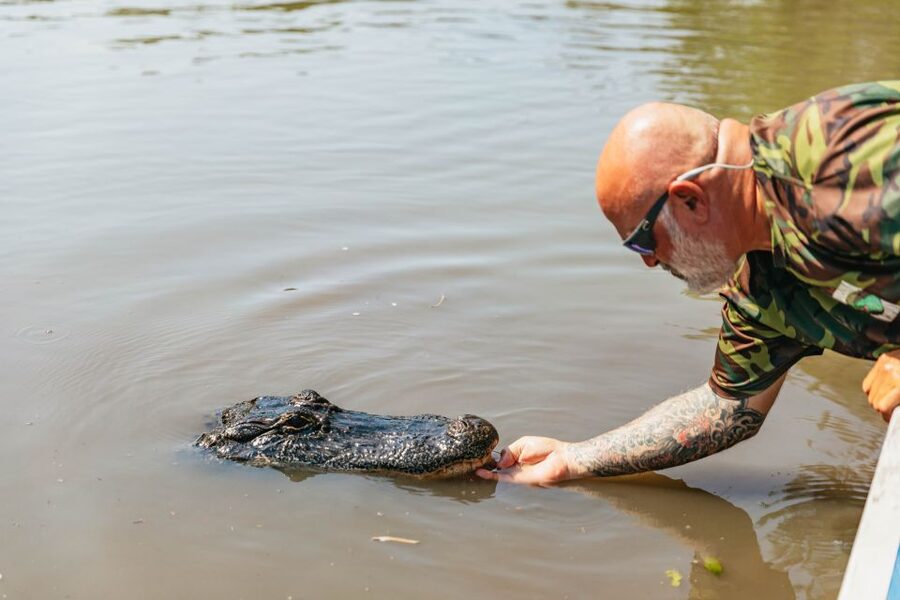 New Orleans: High Speed 9 Passenger Airboat Tour - Should You Book the New Orleans High Speed Airboat Tour?
