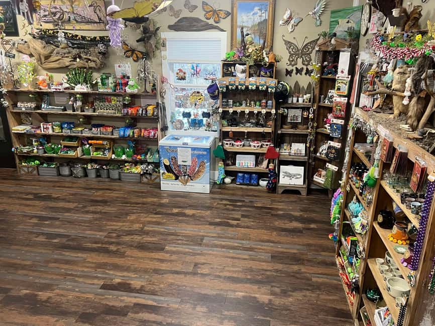 New Orleans Manchac Bayou Swamp Cruise W/ Optional Pick-Up - Frenier, wetlands, and Louisiana stories