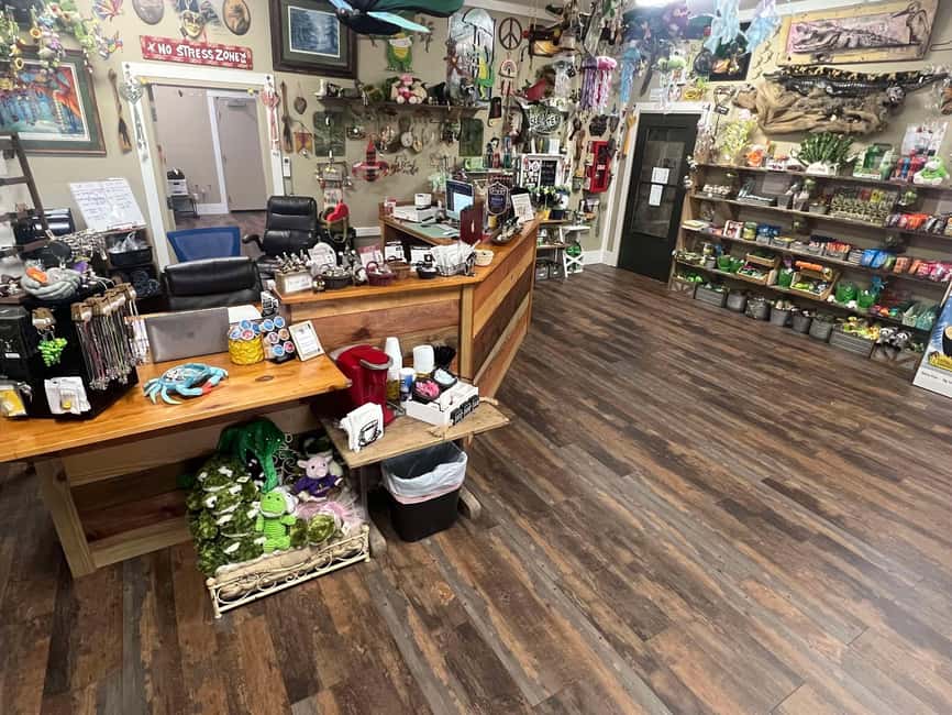 New Orleans Manchac Bayou Swamp Cruise W/ Optional Pick-Up - Should you book the Manchac Bayou cruise?