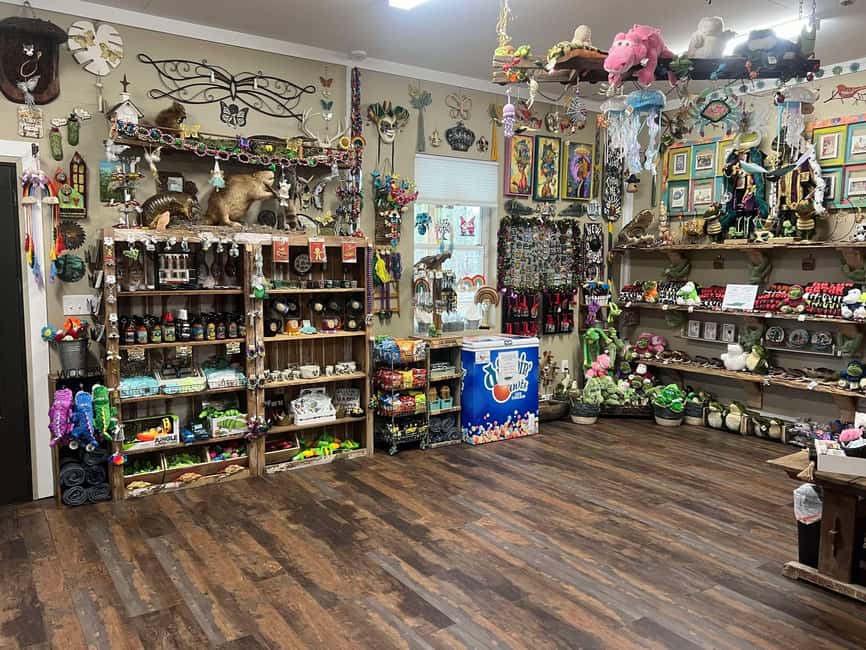 New Orleans Manchac Bayou Swamp Cruise W/ Optional Pick-Up - How the timing affects your day