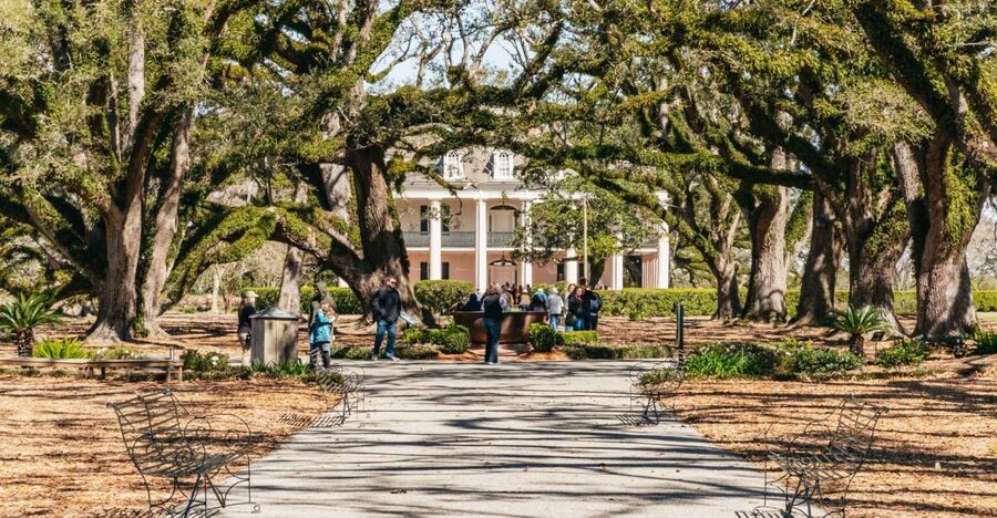 New Orleans: Oak Alley Plantation & Airboat Swamp Combo Tour - Why this pairing works so well