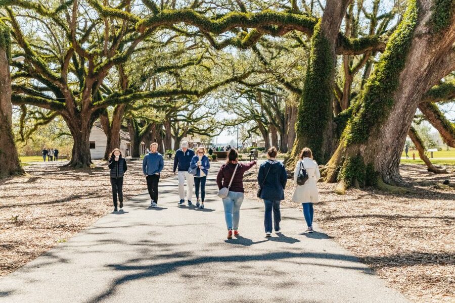 New Orleans: Oak Alley Plantation & Airboat Swamp Combo Tour - From plantation history to Barataria Basin