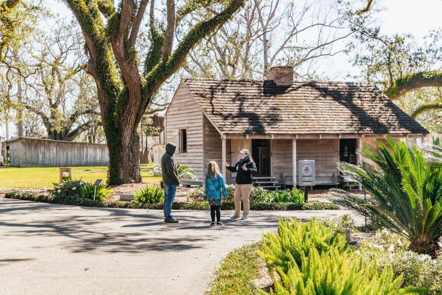 New Orleans: Oak Alley Plantation & Airboat Swamp Combo Tour - Alligators, birds, and the luck factor