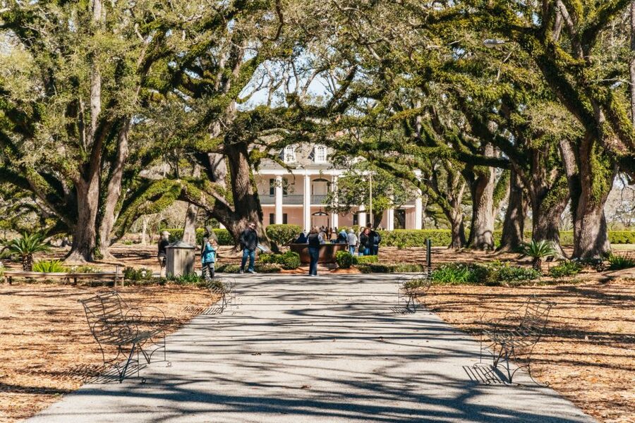 New Orleans: Oak Alley Plantation & Airboat Swamp Combo Tour - Getting out of New Orleans