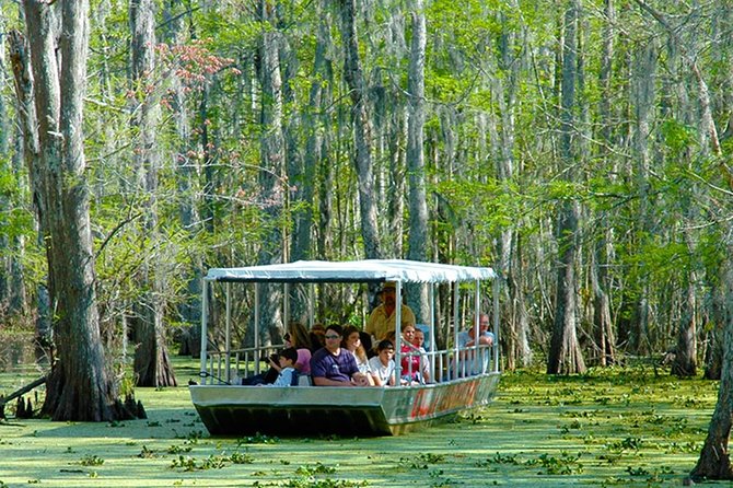 New Orleans Self-Transport Swamp and Bayou Boat Tour - Getting to Slidell without a tour bus