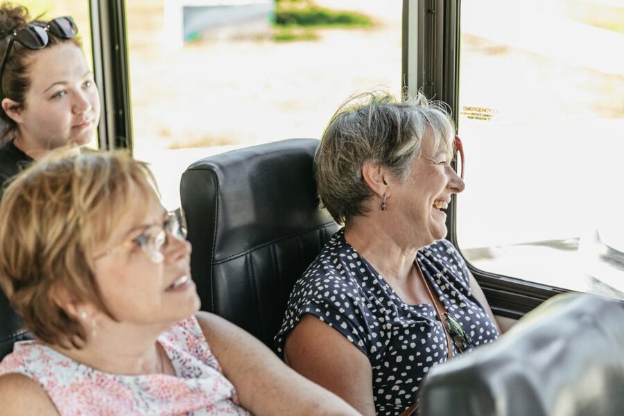 New Orleans: Sightseeing Bus Tour - City Park, Café du Monde, and Lake Pontchartrain