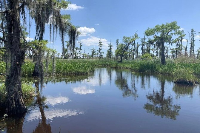 New Orleans Small-Group Airboat Swamp Tour - Why the small group is worth the extra cost