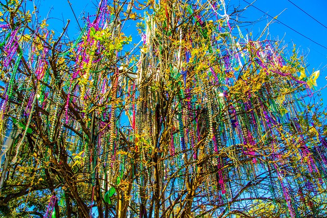 New Orleans Small-Group City Tour by Van - From warehouses to arts districts