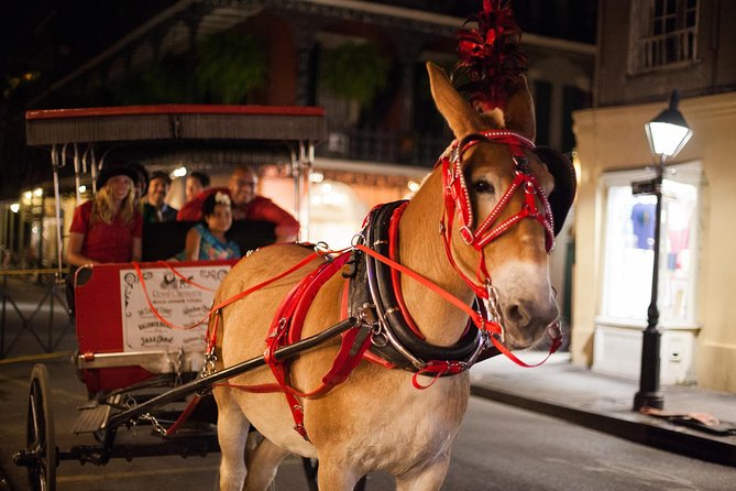 New Orleans Small-Group Haunted History Carriage Tour - A mule-drawn view of New Orleans history