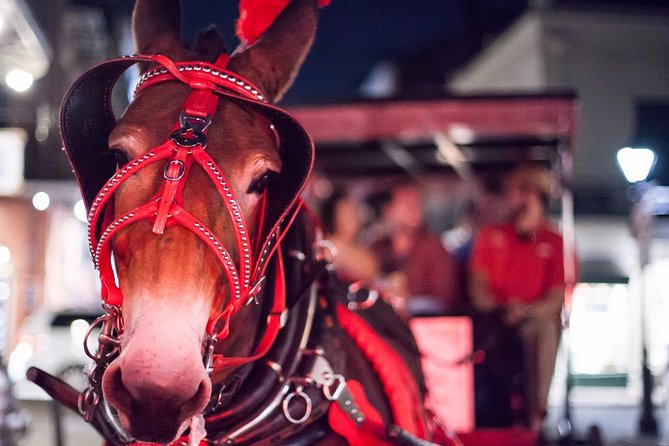 New Orleans Small-Group Haunted History Carriage Tour - Jackson Square and the Saint Louis Cathedral
