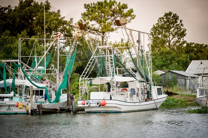 New Orleans Swamp and Bayou Alligator Tour - Who should choose this swamp tour?