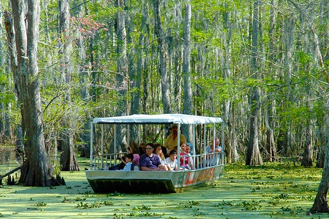 New Orleans Swamp and Bayou Boat Tour with Transportation - The Cajun village is a brief water-level view