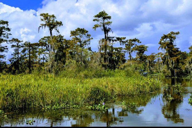 New Orleans Swamp Tour Boat Adventure with Transportation - Why the captains matter so much