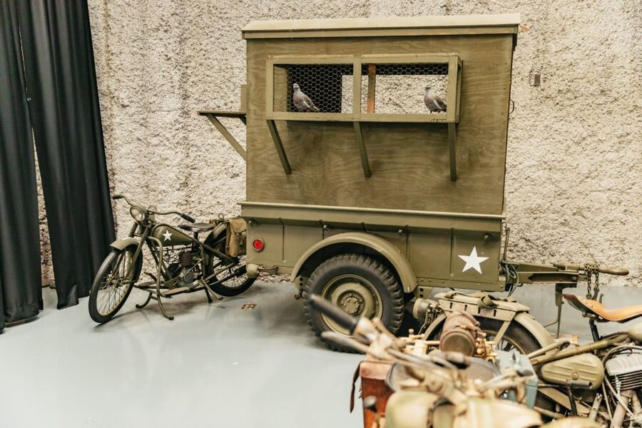 New Orleans: The National WWII Museum Ticket - U.S. Freedom Pavilion and the aircraft catwalks