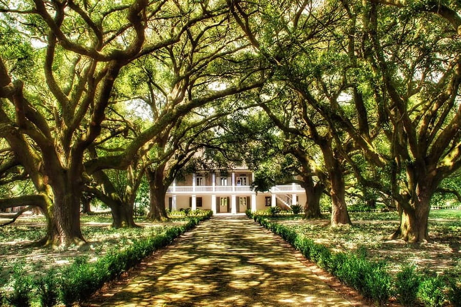 New Orleans: Whitney Plantation Tour with Transportation - The drive along Louisiana’s plantation corridor