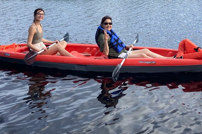 New Smyrna Dolphin and Manatee Kayak and SUP Adventure Tour - Is $65 a Good Value?