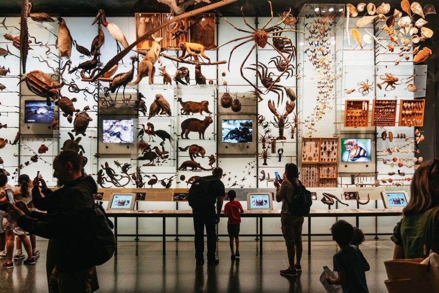 New York City: American Museum of Natural History Ticket - Key points before you go