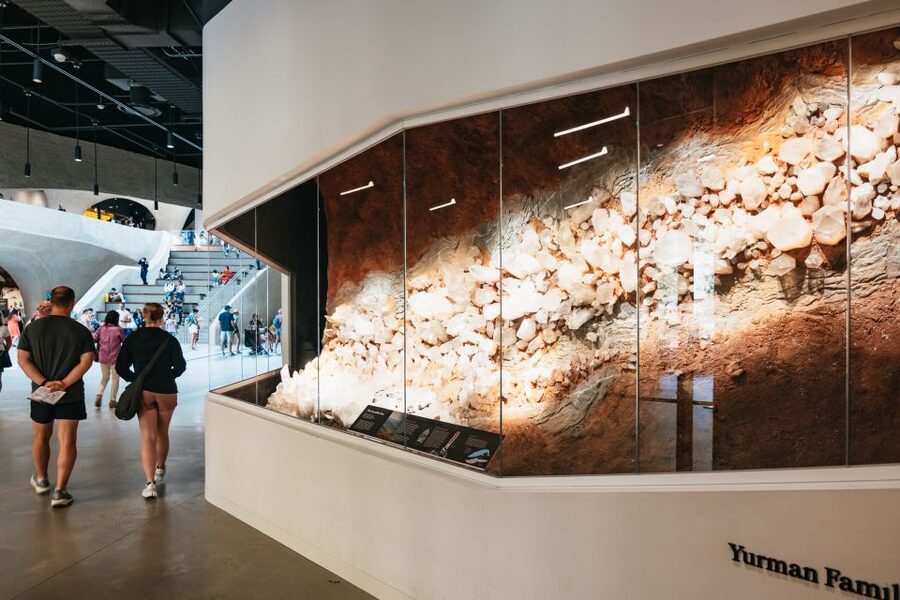New York City: American Museum of Natural History Ticket - See the Rose Center and the mysteries of space