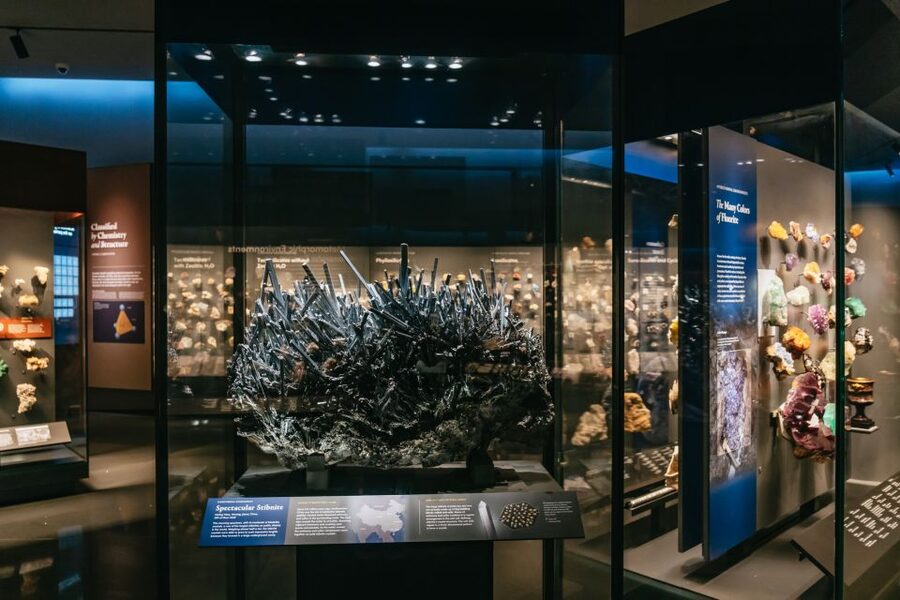 New York City: American Museum of Natural History Ticket - Make time for the Richard Gilder Center