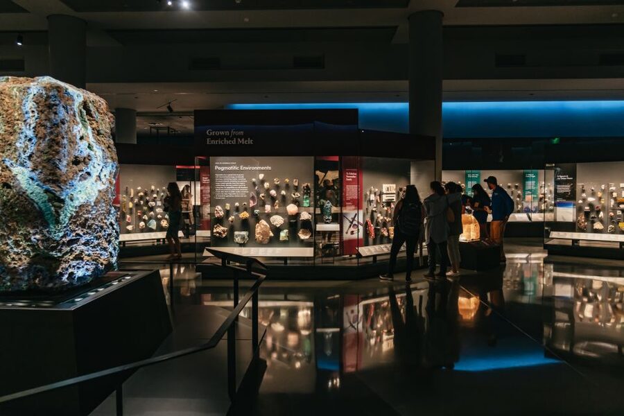 New York City: American Museum of Natural History Ticket - Journey through biodiversity and ocean life