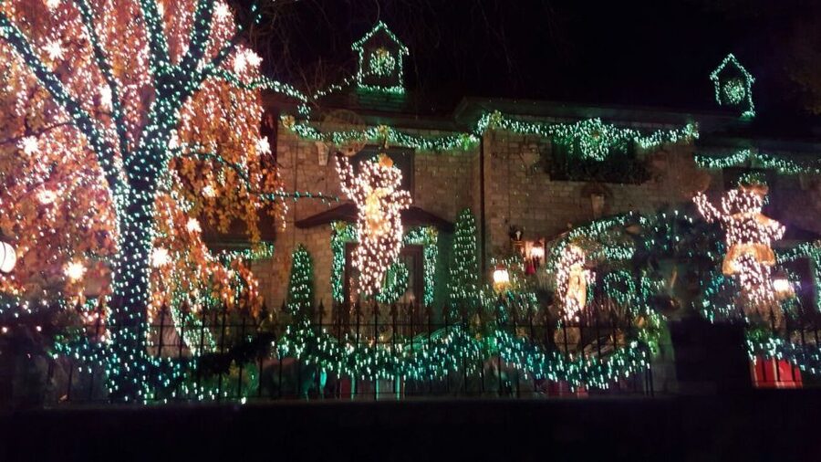 New York City: Dyker Heights Christmas Lights Tour - Who should book this Dyker Heights tour?