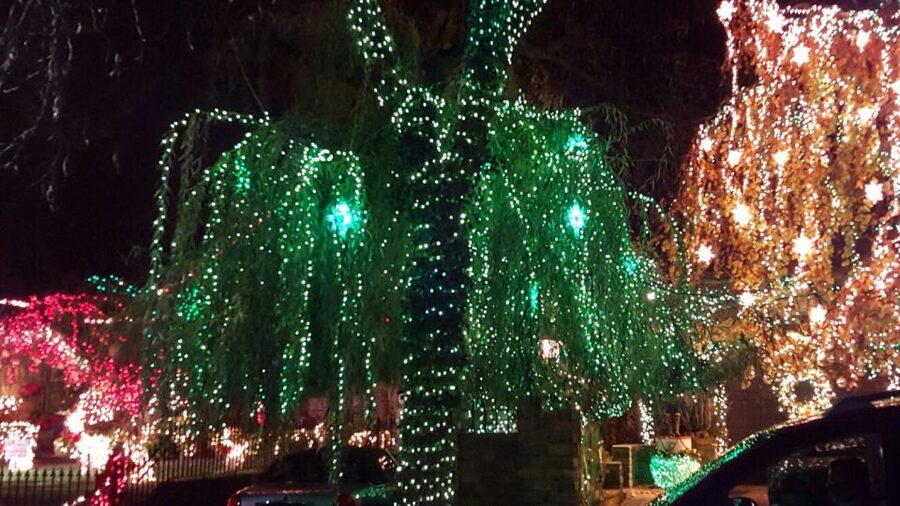 New York City: Dyker Heights Christmas Lights Tour - Why Dyker Heights is worth the ride from Manhattan