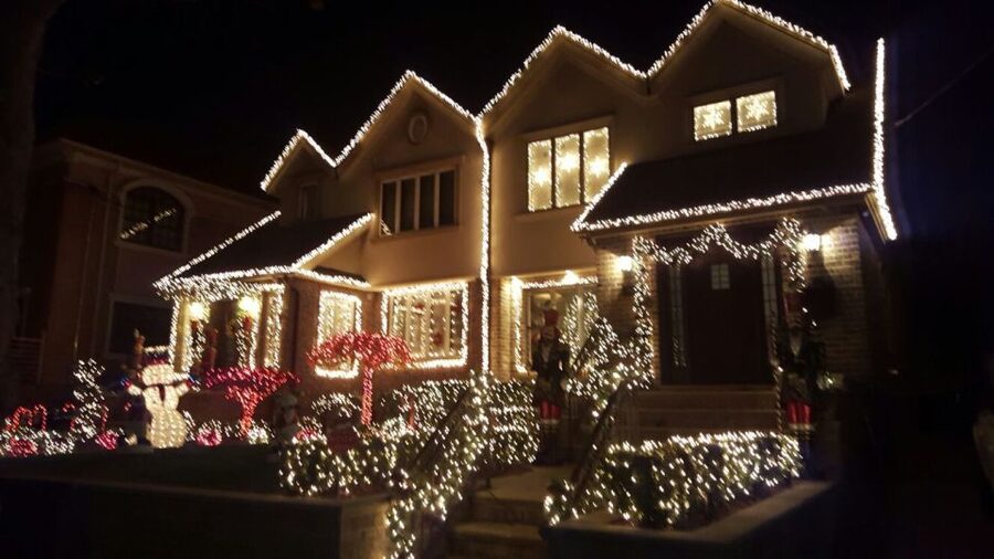 New York City: Dyker Heights Christmas Lights Tour - The guide can make or break the evening