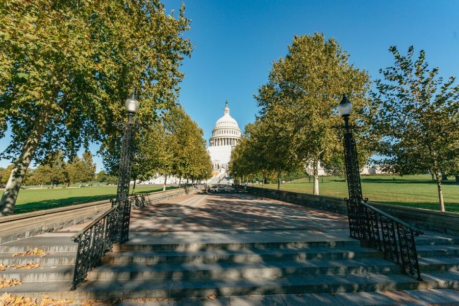 New York City: Full-Day Washington DC City Highlights Tour - The National Mall, Lincoln Memorial, and war memorials