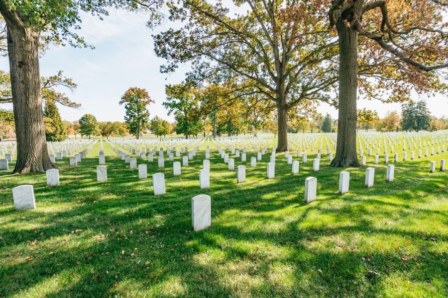 New York City: Full-Day Washington DC City Highlights Tour - What the guides add to the day