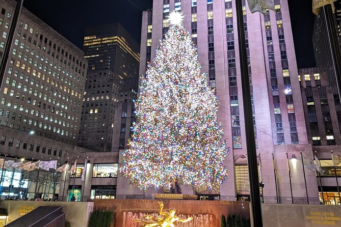 New York City Holiday Lights Tour - Key points to know before you book