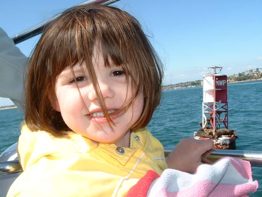 Newport Beach: 2-Hour Whale Watching Tour - Two hours focused on whales, dolphins, and sea lions