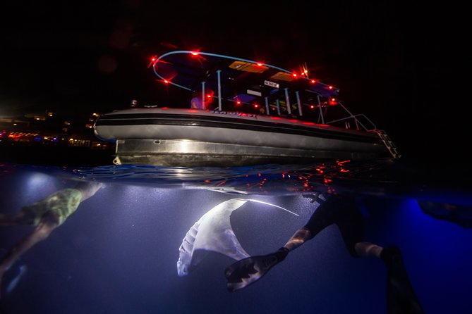 Night Manta Ray Experience - FAQ