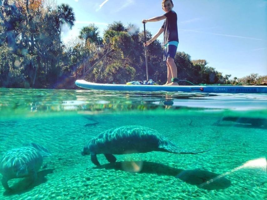 North Miami: Nature & Island Exploration on SUP/Kayak - Key points before you paddle