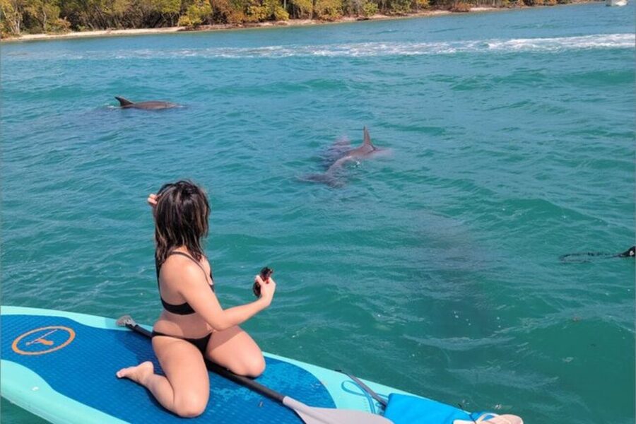 North Miami: Nature & Island Exploration on SUP/Kayak - The island stop, snacks, and possible wildlife encounters