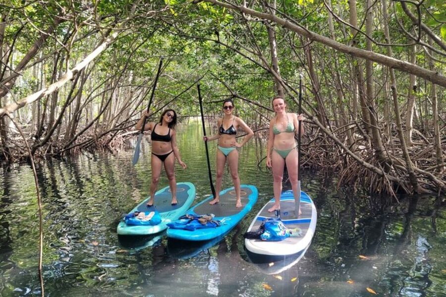 North Miami: Nature & Island Exploration on SUP/Kayak - What the $99 price really covers