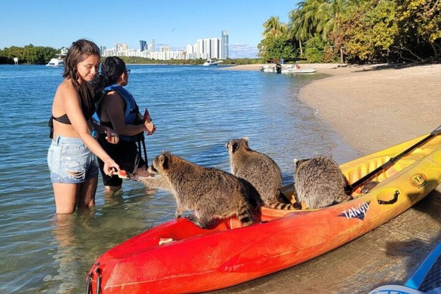 North Miami: Nature & Island Exploration on SUP/Kayak - Who will enjoy this North Miami outing