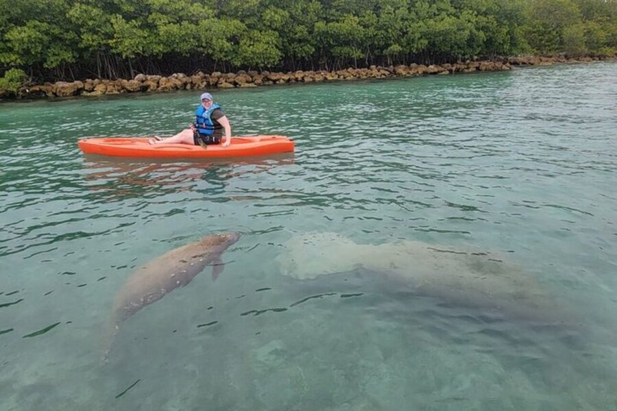 North Miami: Nature & Island Exploration on SUP/Kayak - What to bring and how to prepare