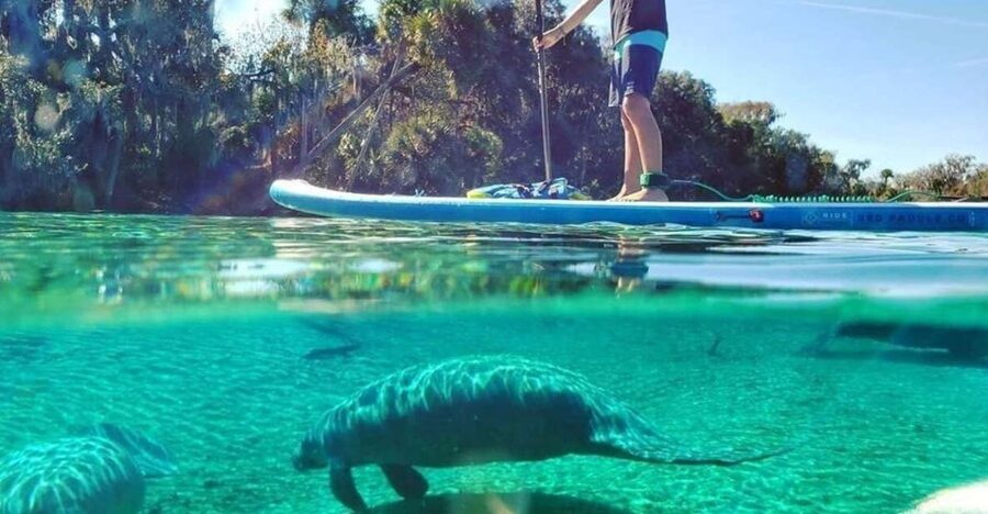 North Miami: Nature & Island Exploration on SUP/Kayak - Paddling through the Osprey Triangle