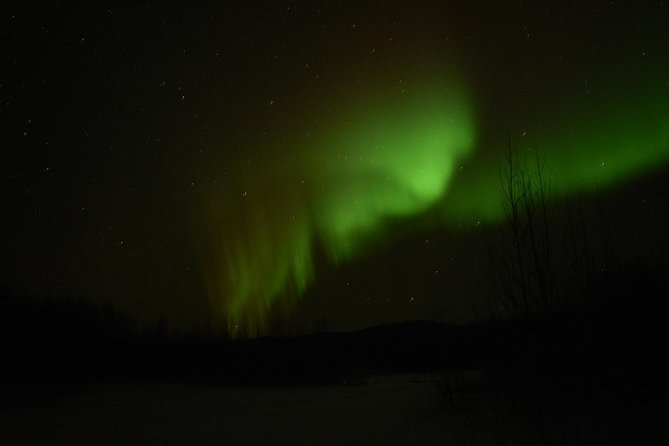 Northern Lights & Arctic Circle Tour - Fairbanks pickup and the 2 p.m. start