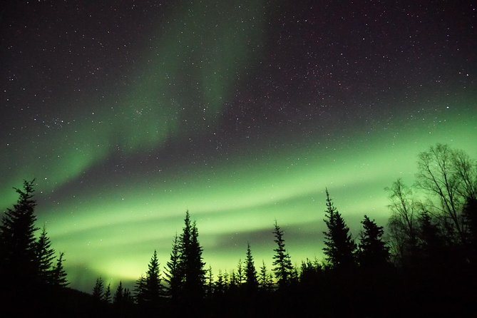Northern Lights & Arctic Circle Tour - Reaching the Arctic Circle sign at mile 115