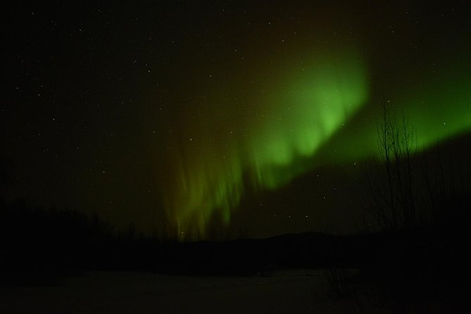 Northern Lights & Arctic Circle Tour - The ride back becomes an aurora search