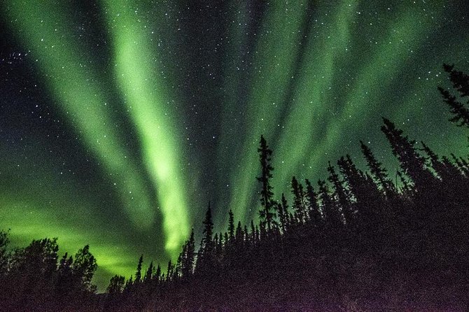 Northern Lights & Arctic Circle Tour - Why the drive can be the best and worst part