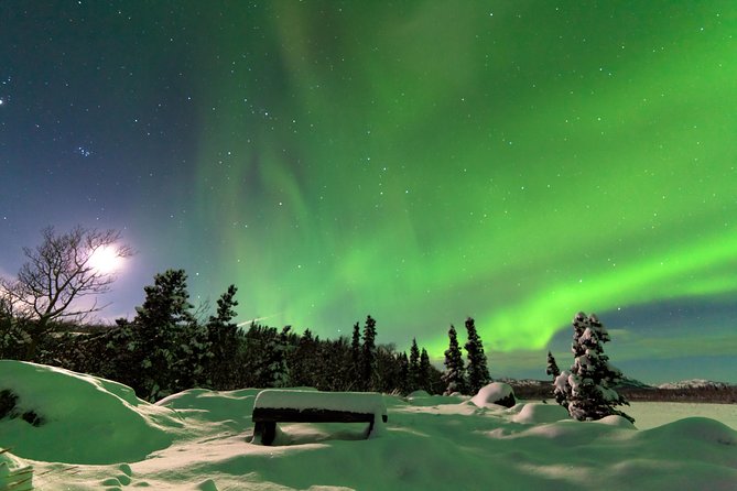 Northern Lights & Arctic Circle Tour - The pipeline viewpoint puts Alaska’s scale in context